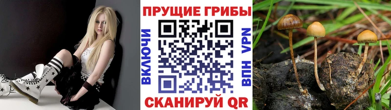 Галлюциногенные грибы ЛСД  hydra ССЫЛКА  Пролетарск  хочу  
